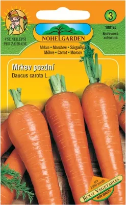 Image de Carottes tardives