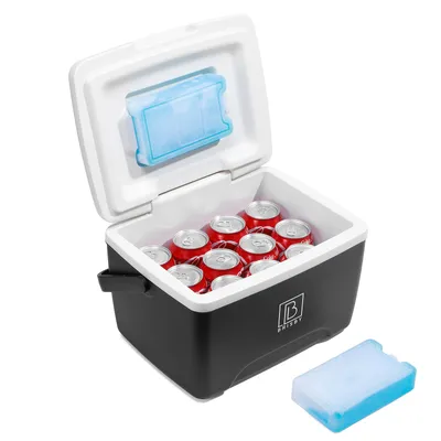 An open cooler box filled with cans and two ice packs.