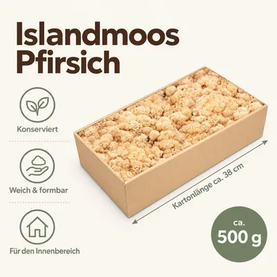Produktbild von Islandmoos 500 g in über 30 Farben, konservierte Rentierflechte Deko Basteln, Farbe:Pfirsich