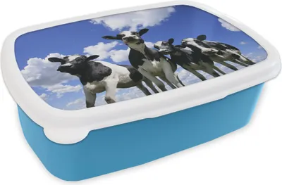 Produktbild von KitchenYeah® Lunchbox Brotzeit Brotdose 17x11 cm Kuh - Luft - Tiere Kinder Brotzeitdose - Lunch - Kunststoff  - Brotbüchse - Sandwichbox - Lunchbox für Kinder
