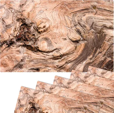 Produktbild von Abwaschbare Tischsets 6er Set Holz-Optik Wurzelholz Struktur