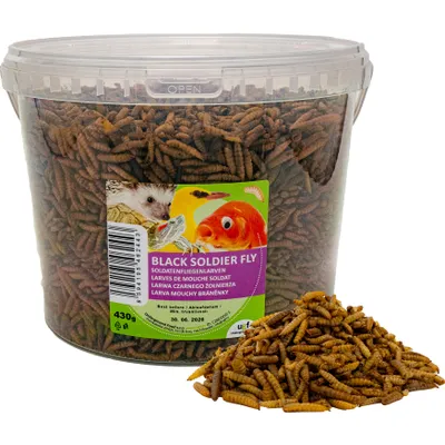 Produktbild von UGF Soldatenfliegenlarven 430g (3L), BSFL Futter für Wildvögel, Schildkröten, Ratten, Igel, Hamster, Hermetia mit mehr Kalzium als Mehlwürmer