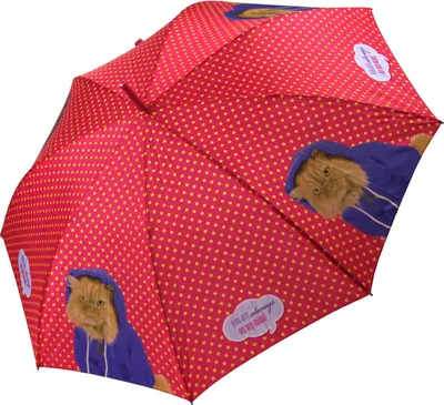 Productafbeelding van Perletti paraplu, dames, stokparaplu, automatisch, roze met stippen, kattenmotief, hoodie