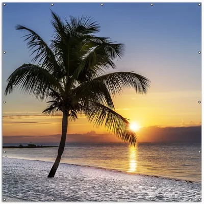 Produktbild von Wallario XXL Outdoor-Poster für Garten oder Balkon, Motiv Palme am Strand - Sonnenuntergang über dem Meer, in ca. 200 x 200 cm