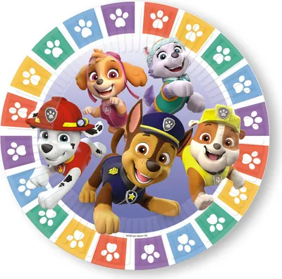 Image de Amscan 8 assiettes Paw Patrol 2022 rondes papier 23