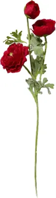 Produktbild von Ranunkel 64 cm Kunstblume Flora