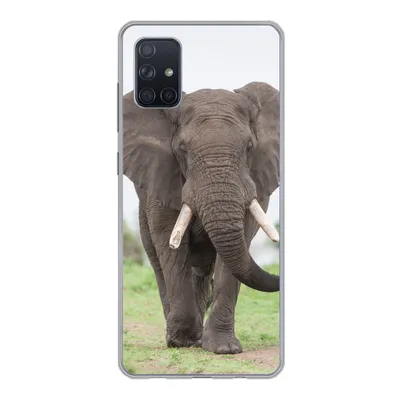Produktbild von MuchoWow® Handyhülle Schutzhülle Hülle für Samsung Galaxy A71 Elefant - Tiere - Gras - Natur Silikon Softcase Handy Hülle - Kartenbesitzer