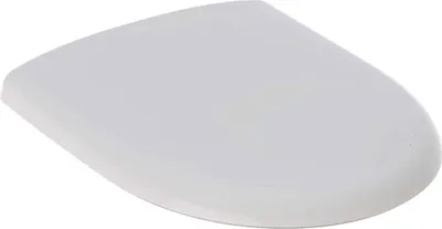Zdjęcie produktu dla Geberit WC-Sitz Renova mit Deckel Scharniere Edelstahl weiß