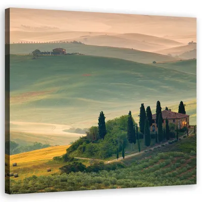 Produktbild von Leinwandbild landschaften - grün 60x60 cm Feeby grün wandbild bereit zum aufhängen