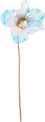 Produktbild von Christrose, irisierend, L 30 cm, Gold