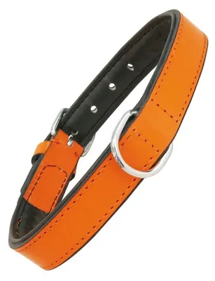Productafbeelding van Hondenhalsband Gloria, met zachte padding, oranje (45 x 2 cm)