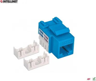 Image de Intellinet RJ45 UTP Cat.6 Module Keystone, bleu