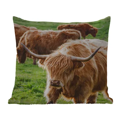 Obrázek produktu pro MuchoWow® Vnější polštář - Skotský horal - Krávy - Zvířata -40x40 cm- Odolnost proti povětrnostním vlivům - polštář do obývacího pokoje