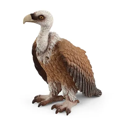 Produktbild von SCHLEICH 14847 Wild Life - Geier
