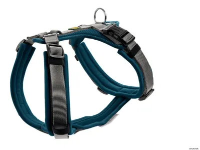 Produktbild von HUNTER Geschirr Maldon Up XS-S, petrol/grau