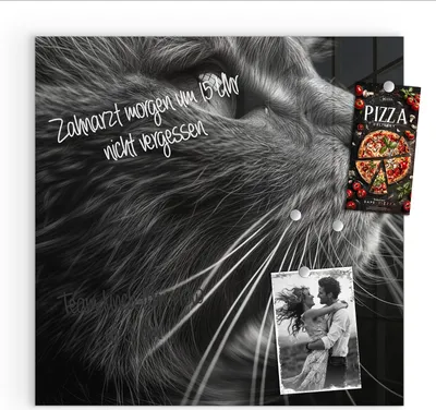 Produktbild von Magnettafel 50x50cm Pinnwand Whiteboard beschreibbar - Nahaufnahme Katze