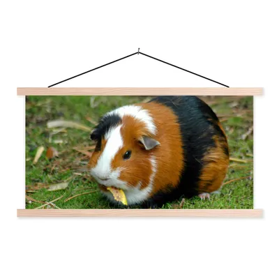 Produktbild von MuchoWow® Textilposter Meerschweinchen draußen 60x30 cm mit holzfarbenen Rahmen - Dekoration