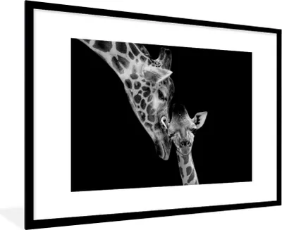 Produktbild von MuchoWow® Gerahmtes Poster Porträt - Giraffe - Tiere - Schwarz - Weiß 90x60 cm - Poster mit Schwarzem Bilderrahmen Wandposter Rahmen Foto Bilder - Wanddekoration - Fotos