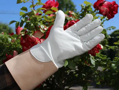Produktbild von Softe echt Leder Rosenhandschuhe, Gartenhandschuhe, kräftige Stulpe, guter Griff | Größen 7 bis 12 erhältlich