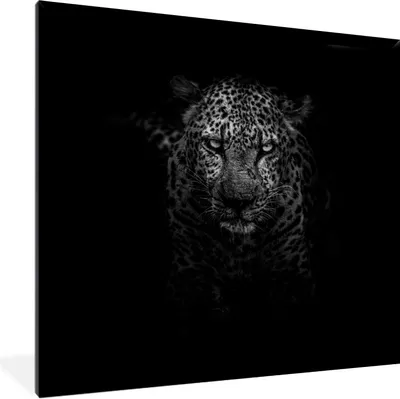 Produktbild von MuchoWow® Gerahmtes Poster Leopard - Schwarz - Weiß 40x40 cm - Poster mit Schwarzem Bilderrahmen Wandposter Rahmen Foto Bilder - Mit Rahmen - Wanddekoration Schlafzimmer