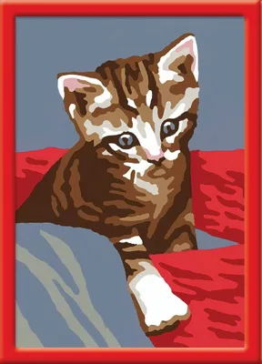 Produktbild von Ravensburger Malen nach Zahlen - Katze Minky