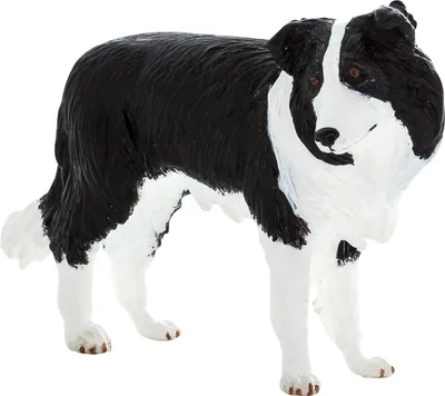 Obrázok produktu pre Mojo Fun Border Collie, 3 rok / roky, FARMLAND, Čierna, Biela, Polyvinylchlorid (PVC)