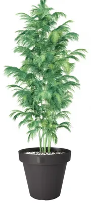 Produktbild von Pro Garden Blumentopf - anthrazit - rund - D50 cm - Kunststoff - Pflanztopf - Garten im Freien