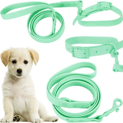 Obrázek produktu pro Vodítko a obojek pro psa S PJ-069 Green
