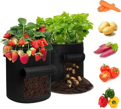 Produktbild von Famanu Pflanzsack 7 Gallonen mit Sichtfenster und Handgriffen - 2er Set