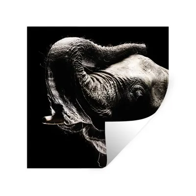 Produktbild von MuchoWow® Wandtattoo Wandsticker Wandaufkleber Elefant - Schwarz - Tiere - Porträt 30x30 cm Selbstklebend und Repositionierbar - Repositionierbar - Wasser abweisend