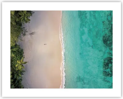 Produktbild von Poster - Poster ohne Rahmen - Strand Tropen Rand - 50x40 cm - Wand Bild - Wanddeko - Wandbilder - Kunstposter - Wandposter - Bilder - Kunstdruck - Wanddekoration - Wandbild - P2XAA50x40-5000