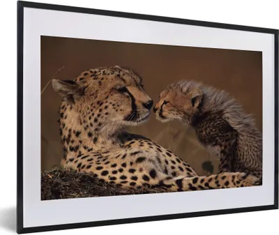 Produktbild von MuchoWow® Gerahmtes Poster Gepardenmutter und Jungtier 60x40 cm - Poster mit Schwarzem Bilderrahmen Wandposter Rahmen Foto Bilder - Schlafzimmer - Plakat in Rahmen - Drucken