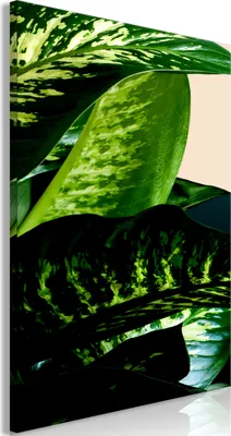 Produktbild von Vliesstoff Leinwandbild - Dieffenbachia (1 Part) Vertical 80x120 cm Blätter b-C-0684-b-a