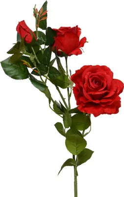 Produktbild von Künstliche Rose 3-köpfig mit Stiel 77cm Rot
