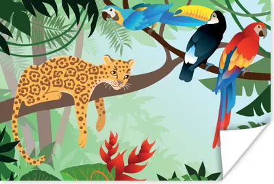 Produktbild von MuchoWow® Poster Dschungeltiere - Tukan - Jungen - Mädchen - Leopard 30x20 cm - Plakate - Print