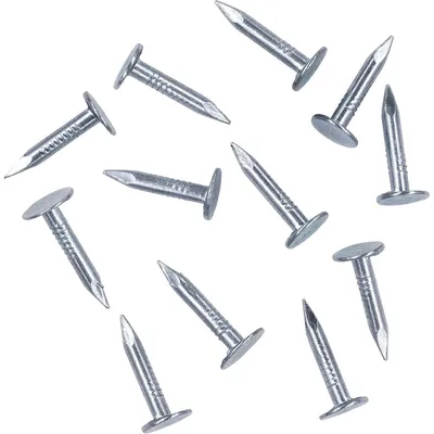 Zdjęcie produktu dla Gwoździe do papy, stal ocynkowana, łeb wpuszczany, 3 x 20 mm, 280 sztuk