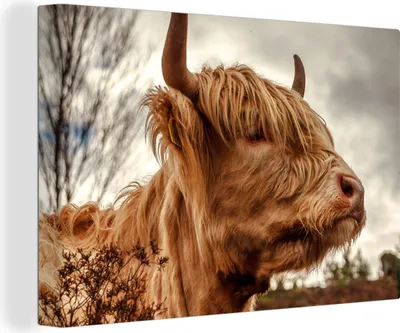Produktbild von OneMillionCanvasses® - Leinwandbilder - 140x90 cm, Scottish Hochlandrind - Strauch - Heidekraut, Wandbilder Wohnzimmer Hochland Rind - Tier Wanddekoration - Hochland Rind - Kuh - Gemälde auf Holzrahmen