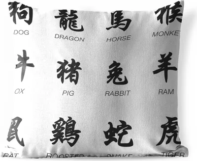 Produktbild von MuchoWow® Outdoor Kissen - Chinesische Schriftzeichen für Tiernamen - 50x50 cm - Wetterfest - Lounge Kissen - Komfortabel - Kissen mit Bild