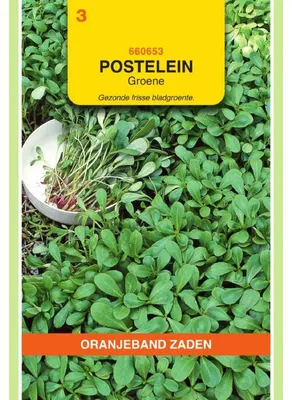 Imagen del producto de Oranjeband Portulak Grüner - 1 paquete de semillas