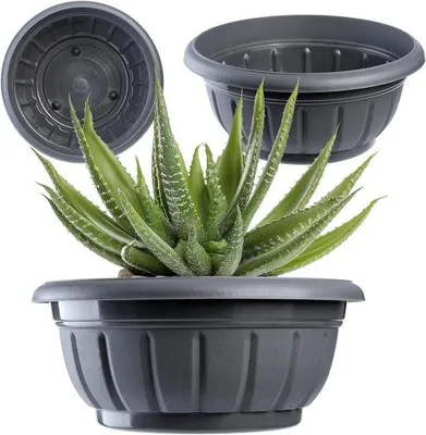 Image de Jardinière en plastique pour l'extérieur - 20 cm, anthracite