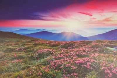 Produktbild von LED Leinwandbild 3D Wandbild Beleuchtung Bild Wanddekoration Sonnenaufgang