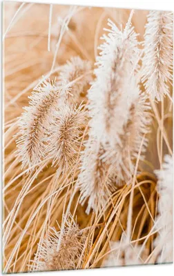 Produktbild von Bilder auf glas - Einteilig - Gras Boho Licht - 50x70cm - Glasbilder - Wandbilder - Bilder - zum Aufhängen bereit - Wanddekoration aus Glas - Glas Bilder - Wandbild auf Glas - GPA50x70-4903