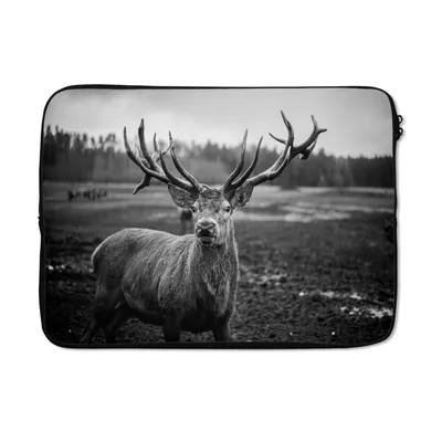 Produktbild von MuchoWow® Laptop Hülle 13 Zoll Tiere - Hirsch - Geweih - Schwarz und weiß - Natur Laptoptasche - Laptophülle - Sleeve - Rundumschutz