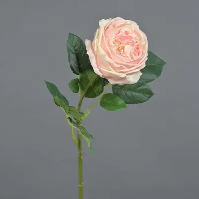 Produktbild von artplants.de Textilblume Kohl-Rose CATINCA, zartrosa, 60cm - Kunstrose