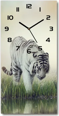 Produktbild von Wanduhr aus Glas – 30x60 cm - Glasbild - Glasuhr - Gehärtetes Glas -Weißer Tiger