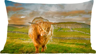 Produktbild von MuchoWow® Zierkissen Sofakissen Wohnzimmer Dekokissen 50x30 cm Schottisches Hochlandrind - Gras - Berg - Wohnzimmerdekoration - Polster mit Photo