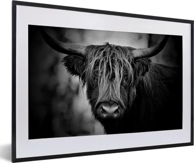 Produktbild von MuchoWow® Gerahmtes Poster Schottischer Hochländer - Licht - Porträt - Natur 60x40 cm - Poster mit Schwarzem Bilderrahmen Wandposter Rahmen Foto Bilder - Schlafzimmer - Plakat in Rahmen - Drucken