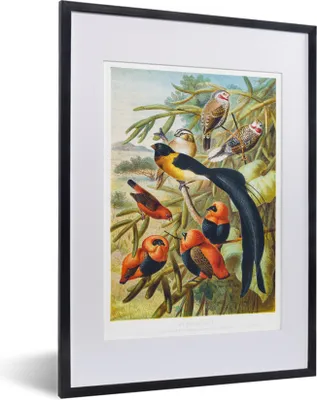 Produktbild von MuchoWow® MuchoWow® Gerahmtes Poster Antiker Vogeldruck Vögel in Harmonie 30x40 cm - Poster mit zchwarzem Bilderrahmen - Wandposter Schlafzimmer