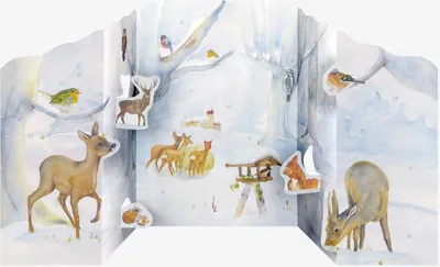 Produktbild von Adventskalender 'Tiere im Winterwald'
