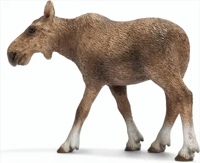 Image de SCHLEICH 14620 - Vie sauvage, vache élan